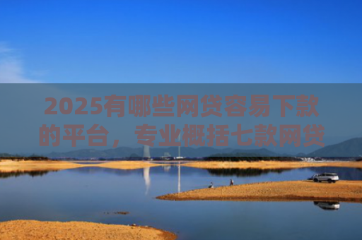2025有哪些网贷容易下款的平台，专业概括七款网贷买会员必下款口子
