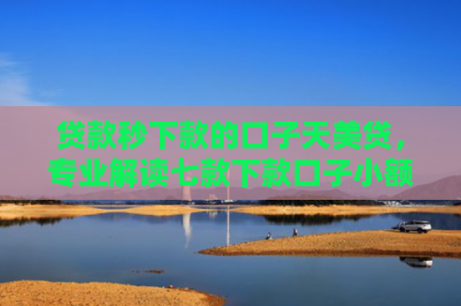 贷款秒下款的口子天美贷，专业解读七款下款口子小额贷款公司