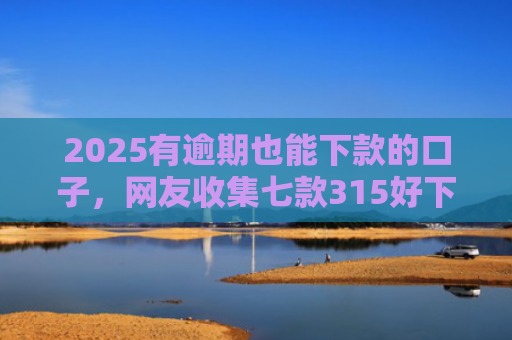 2025有逾期也能下款的口子，网友收集七款315好下款的网贷口子