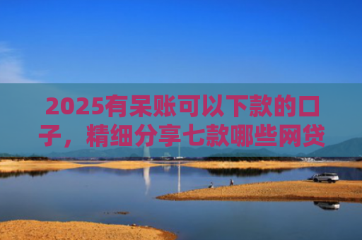 2025有呆账可以下款的口子，精细分享七款哪些网贷口子好下款的