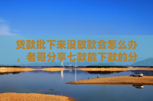 贷款批下来没放款会怎么办，老哥分享七款能下款的分期贷款口子