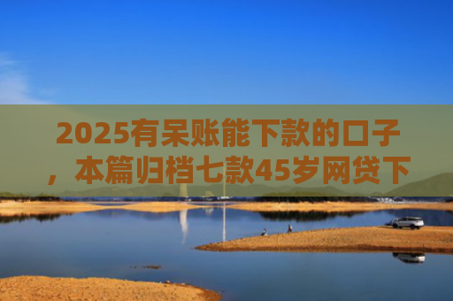 2025有呆账能下款的口子，本篇归档七款45岁网贷下款的口子