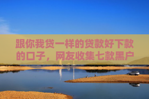 跟你我贷一样的贷款好下款的口子，网友收集七款黑户什么网贷必下款