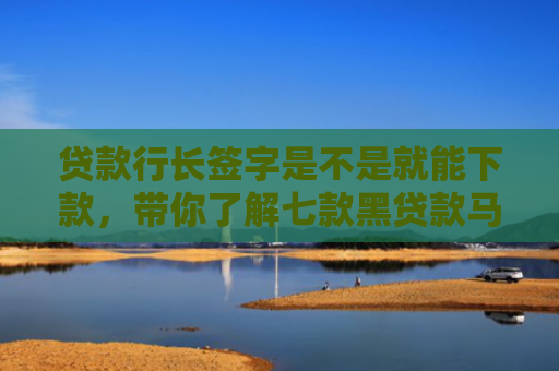 贷款行长签字是不是就能下款，带你了解七款黑贷款马上下款的口子