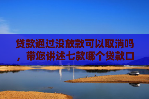 贷款通过没放款可以取消吗，带您讲述七款哪个贷款口子下款最快