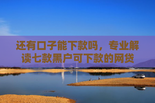 还有口子能下款吗，专业解读七款黑户可下款的网贷