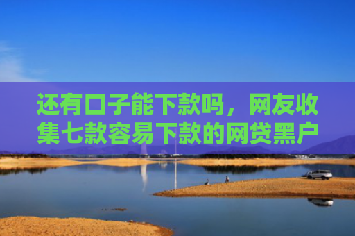 还有口子能下款吗，网友收集七款容易下款的网贷黑户