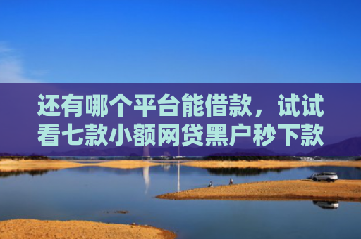 还有哪个平台能借款，试试看七款小额网贷黑户秒下款