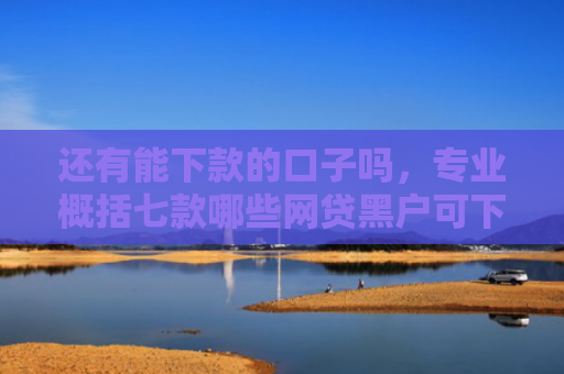 还有能下款的口子吗，专业概括七款哪些网贷黑户可下款
