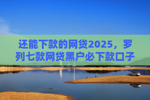 还能下款的网贷2025，罗列七款网贷黑户必下款口子