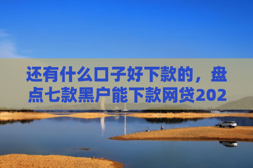 还有什么口子好下款的，盘点七款黑户能下款网贷2025