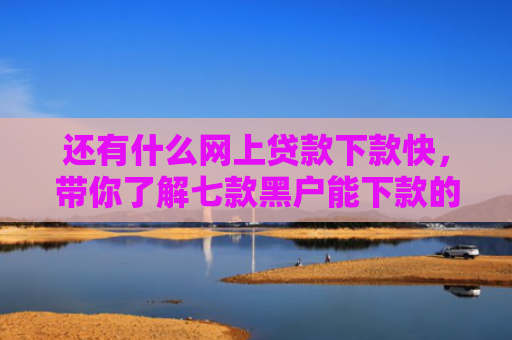 还有什么网上贷款下款快，带你了解七款黑户能下款的网贷？