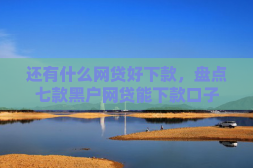 还有什么网贷好下款，盘点七款黑户网贷能下款口子