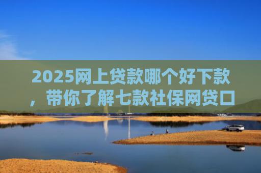 2025网上贷款哪个好下款，带你了解七款社保网贷口子那个下款快