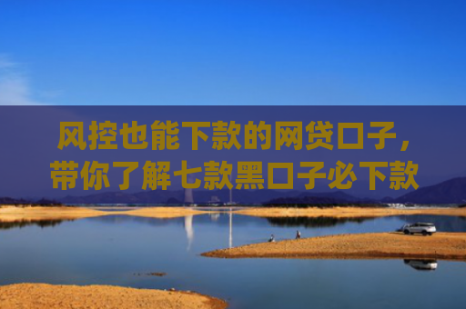 风控也能下款的网贷口子，带你了解七款黑口子必下款app2025的放款条件