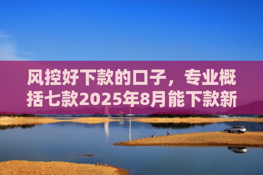 风控好下款的口子，专业概括七款2025年8月能下款新口子APP