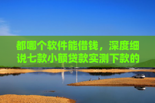 都哪个软件能借钱，深度细说七款小额贷款实测下款的口子
