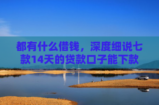 都有什么借钱，深度细说七款14天的贷款口子能下款吗