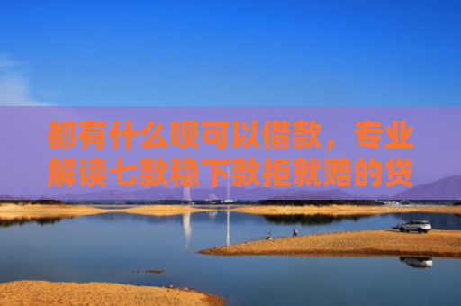 都有什么呗可以借款，专业解读七款稳下款拒就赔的贷款口子