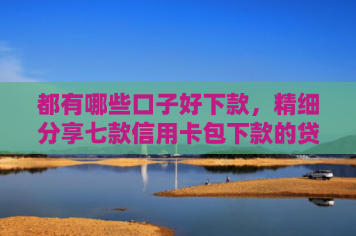 都有哪些口子好下款，精细分享七款信用卡包下款的贷款口子