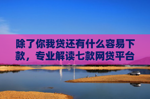 除了你我贷还有什么容易下款，专业解读七款网贷平台好下款的口子