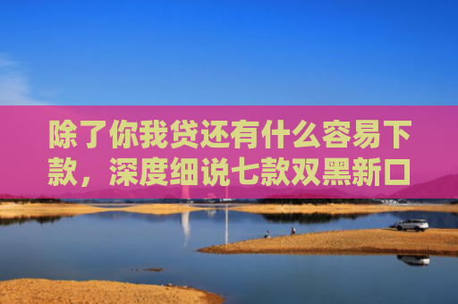 除了你我贷还有什么容易下款，深度细说七款双黑新口子稳下款平台