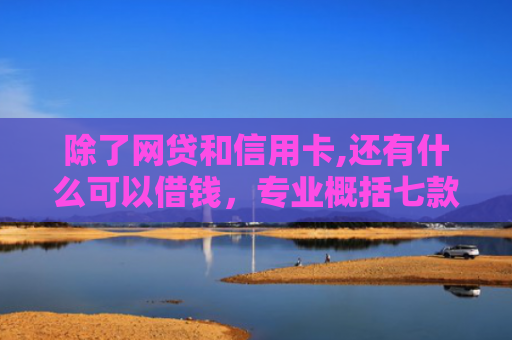 除了网贷和信用卡,还有什么可以借钱，专业概括七款黑口子必下款返佣平台