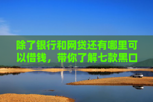 除了银行和网贷还有哪里可以借钱，带你了解七款黑口子可以下款的平台