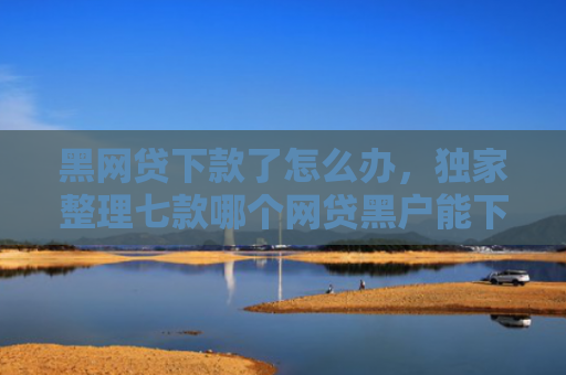 黑网贷下款了怎么办，独家整理七款哪个网贷黑户能下款快