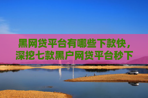 黑网贷平台有哪些下款快，深挖七款黑户网贷平台秒下款评论