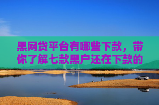 黑网贷平台有哪些下款，带你了解七款黑户还在下款的网贷