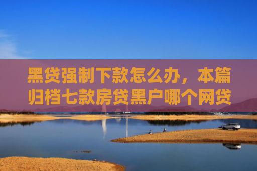 黑贷强制下款怎么办，本篇归档七款房贷黑户哪个网贷能下款