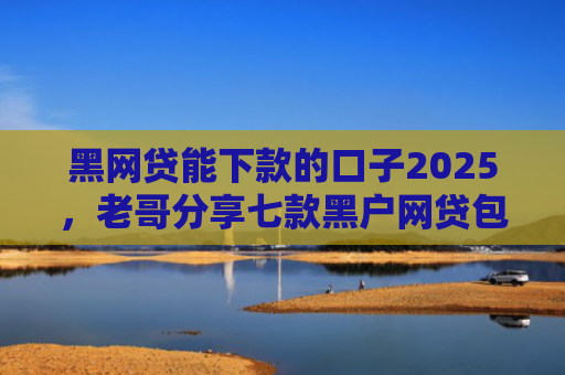 黑网贷能下款的口子2025，老哥分享七款黑户网贷包下款大口子