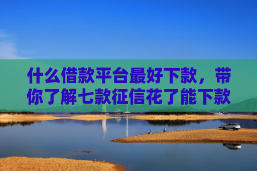 什么借款平台最好下款，带你了解七款征信花了能下款的贷款