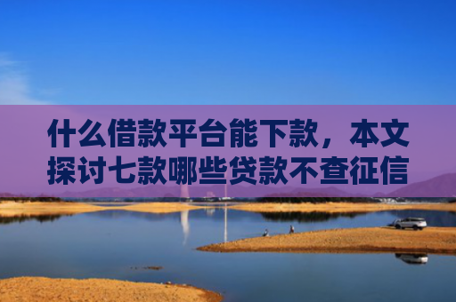 什么借款平台能下款，本文探讨七款哪些贷款不查征信好下款
