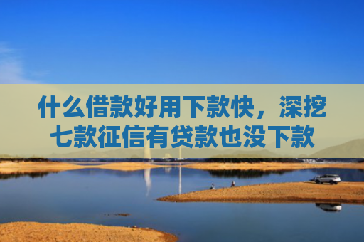 什么借款好用下款快，深挖七款征信有贷款也没下款
