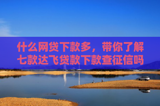 什么网贷下款多，带你了解七款达飞贷款下款查征信吗