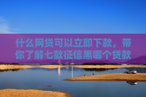 什么网贷可以立即下款，带你了解七款征信黑哪个贷款好下款