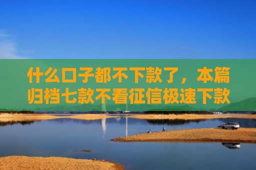 什么口子都不下款了，本篇归档七款不看征信极速下款的贷款
