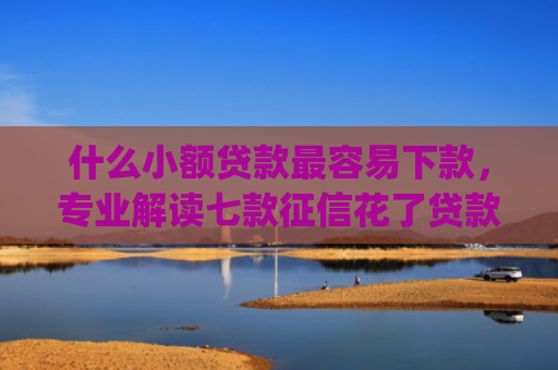 什么小额贷款最容易下款，专业解读七款征信花了贷款好下款的app