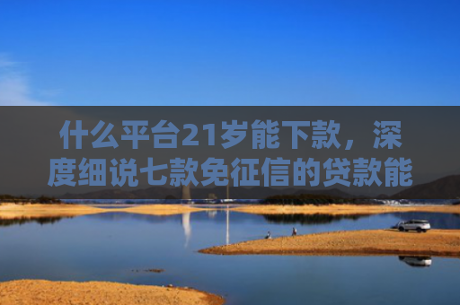 什么平台21岁能下款，深度细说七款免征信的贷款能下款吗