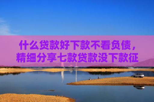 什么贷款好下款不看负债，精细分享七款贷款没下款征信没有