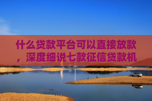 什么贷款平台可以直接放款，深度细说七款征信贷款机构哪个好下款