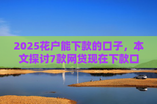 2025花户能下款的口子，本文探讨7款网贷现在下款口子