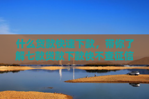 什么贷款快速下款，带你了解七款贷款下款快不查征信