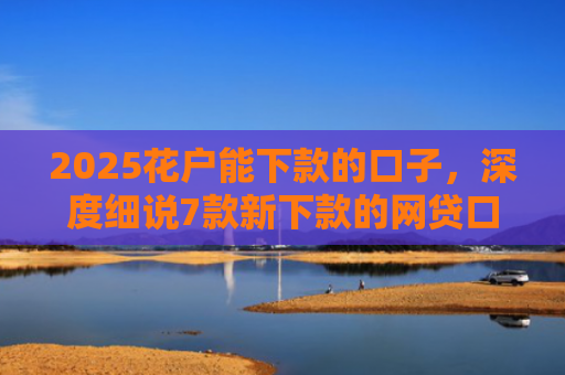 2025花户能下款的口子，深度细说7款新下款的网贷口子
