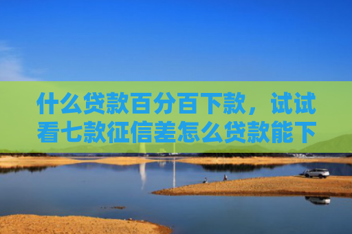 什么贷款百分百下款，试试看七款征信差怎么贷款能下款
