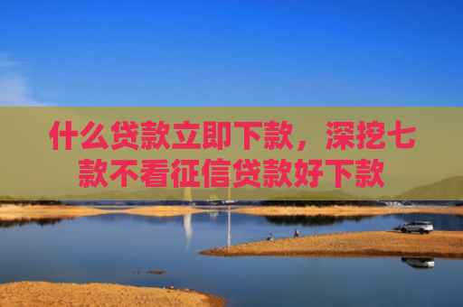 什么贷款立即下款，深挖七款不看征信贷款好下款