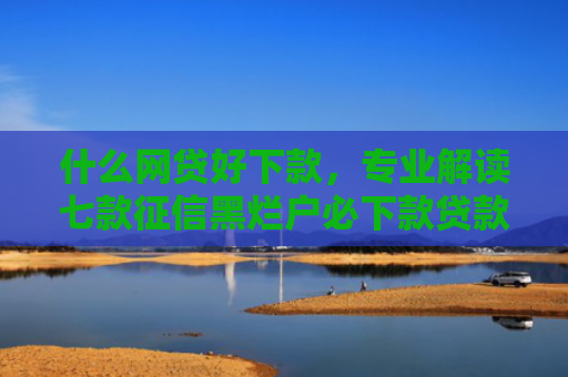 什么网贷好下款，专业解读七款征信黑烂户必下款贷款