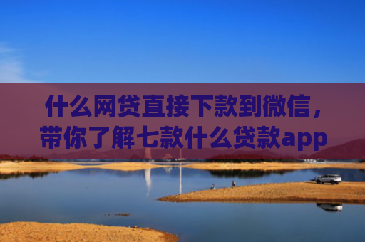 什么网贷直接下款到微信，带你了解七款什么贷款app 不看征信 下款快
